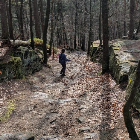 Wenn Mitgefühl an Zuständigkeiten scheitert