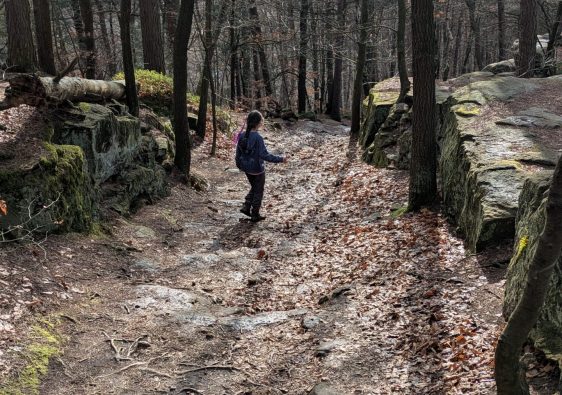 Wanderung in der Sächsischen Schweiz von Rathen nach Wehlen.