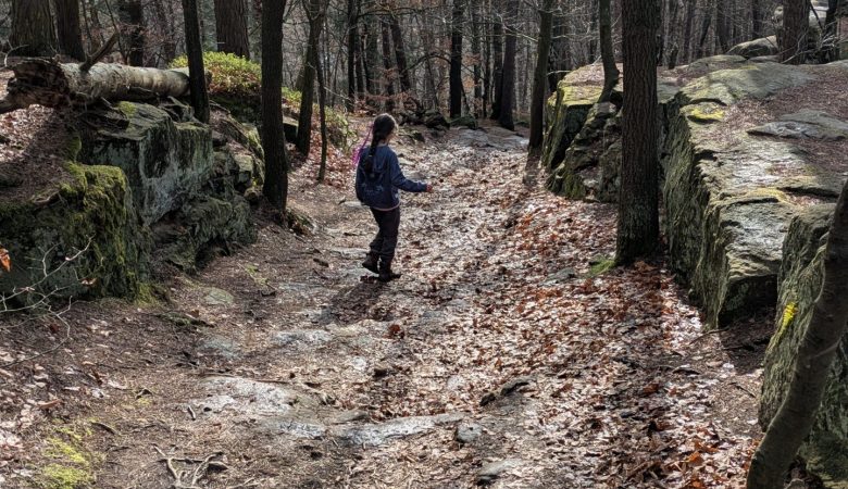 Wanderung in der Sächsischen Schweiz von Rathen nach Wehlen.
